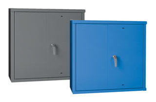 2-Door Wall Mounted Cabinet
