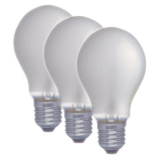 Edison Screw Bulbs