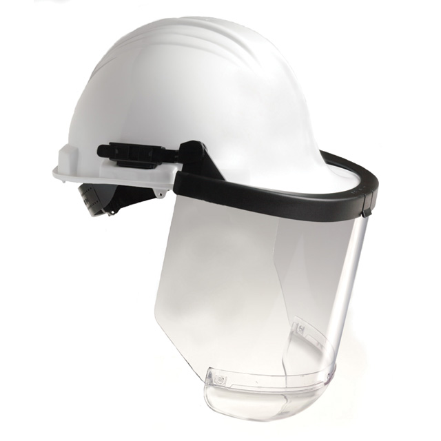 face shield for swimming