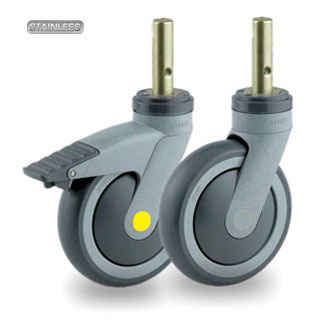 Castors